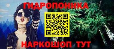 стафф Моздок