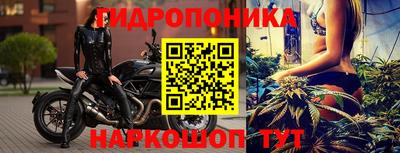 прущие крисы Можга