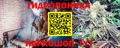 прущие крисы Можга