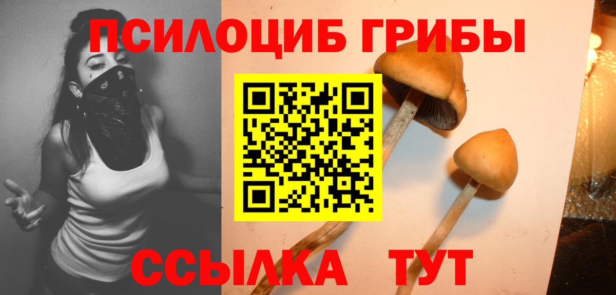 Галлюциногенные грибы мухоморы  Вход с VPN  Псилоцибиновые грибы MAGIC MUSHROOMS  Димитровград 