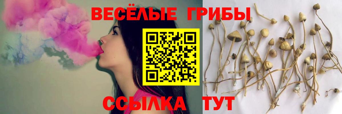 Галлюциногенные грибы мицелий Димитровград