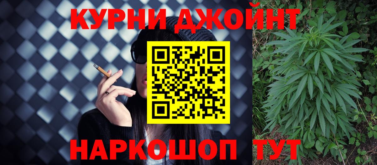 Бошки Шишки план Димитровград